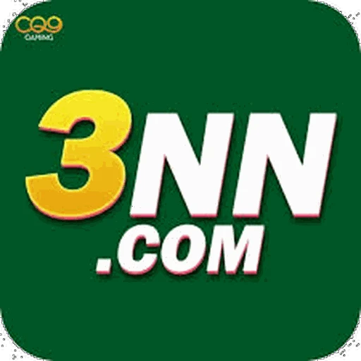 3NN Logo